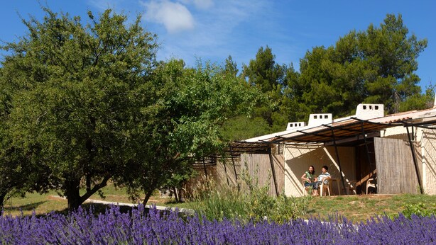 A rustic building with a covered porch, surrounded by lush greenery and a field of purple flowers.