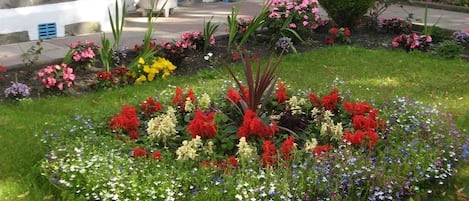 Un jardín bien cuidado con diversas flores y plantas coloridas, un muro de piedra y una puerta azul.