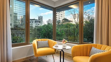 Executive Room | View from room