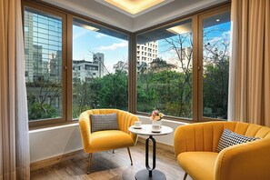 Executive Room | View from room