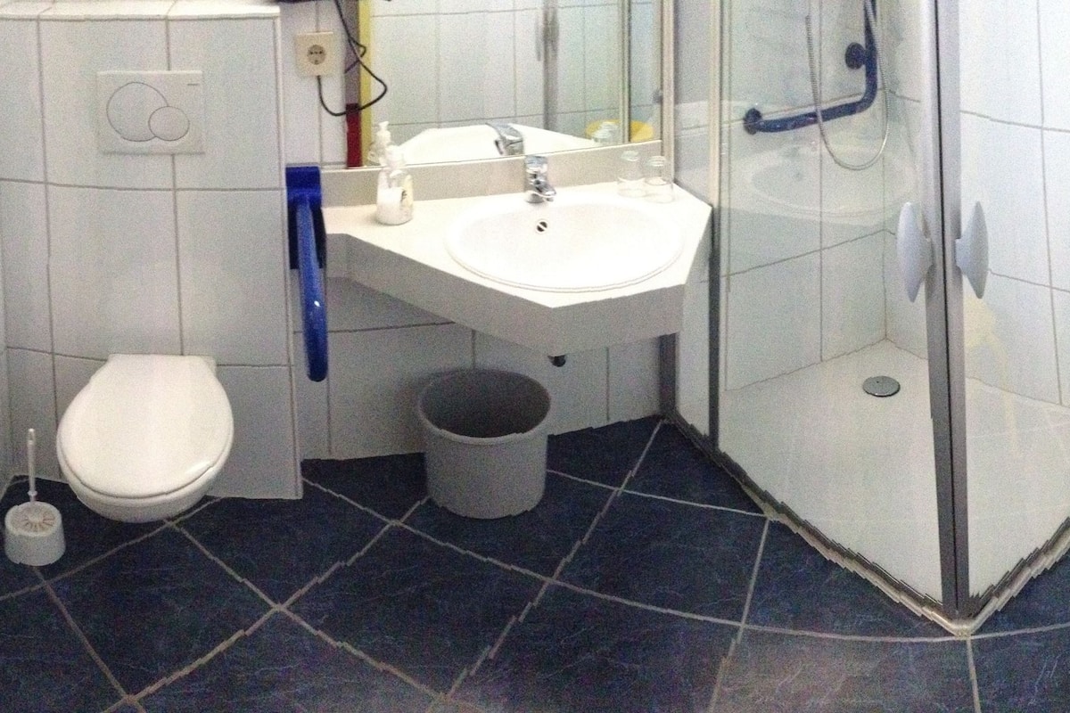 shower, free toiletries, hair dryer, towels