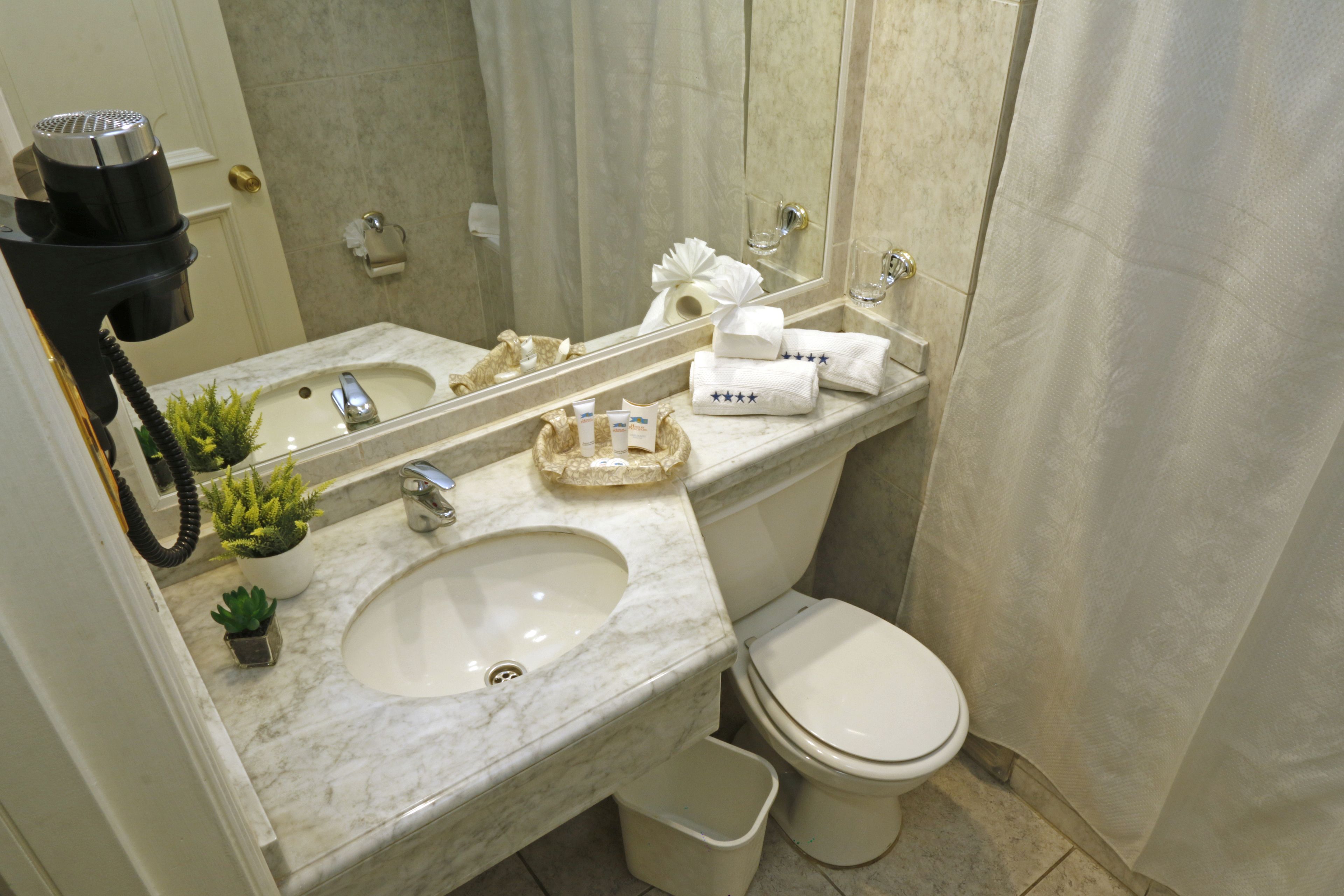 Combined shower/bathtub, deep-soaking bathtub, free toiletries