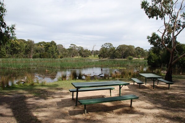Un espacio de picnic con bancos verdes y un estanque.