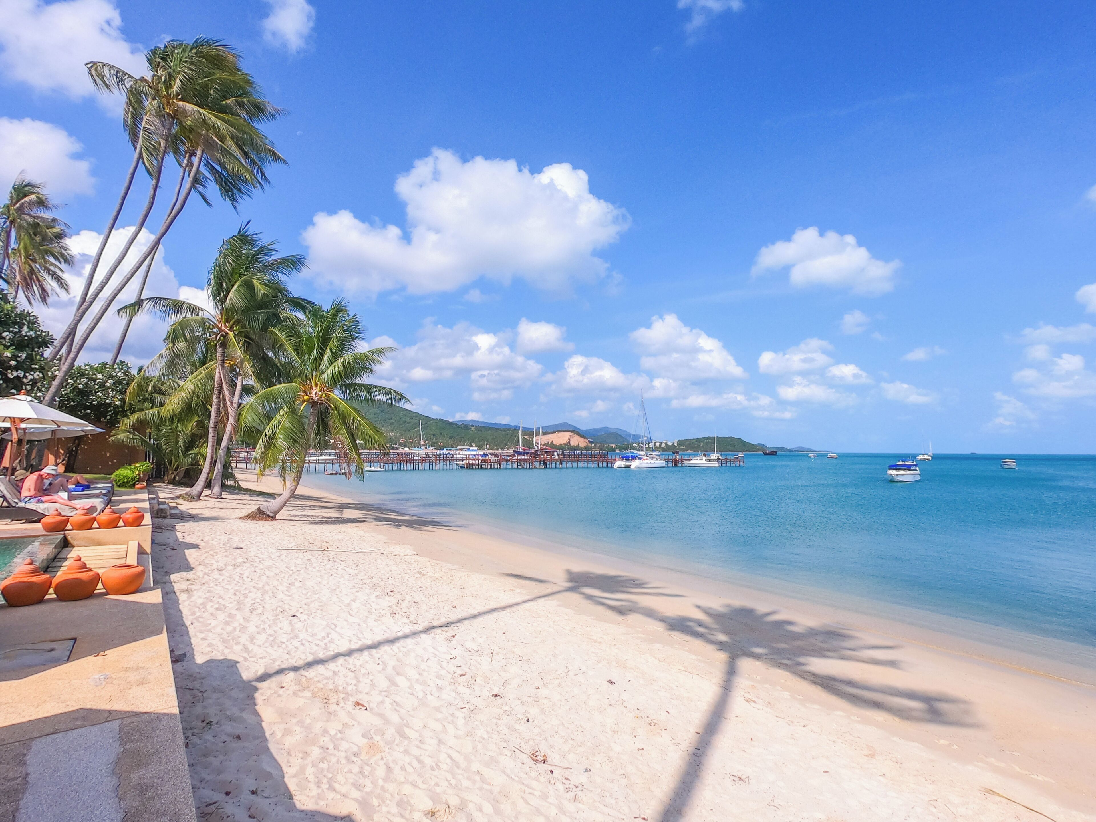 on the beach, beach bar