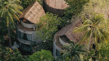 Un edificio circular con techo de paja, rodeado de exuberante vegetación tropical.