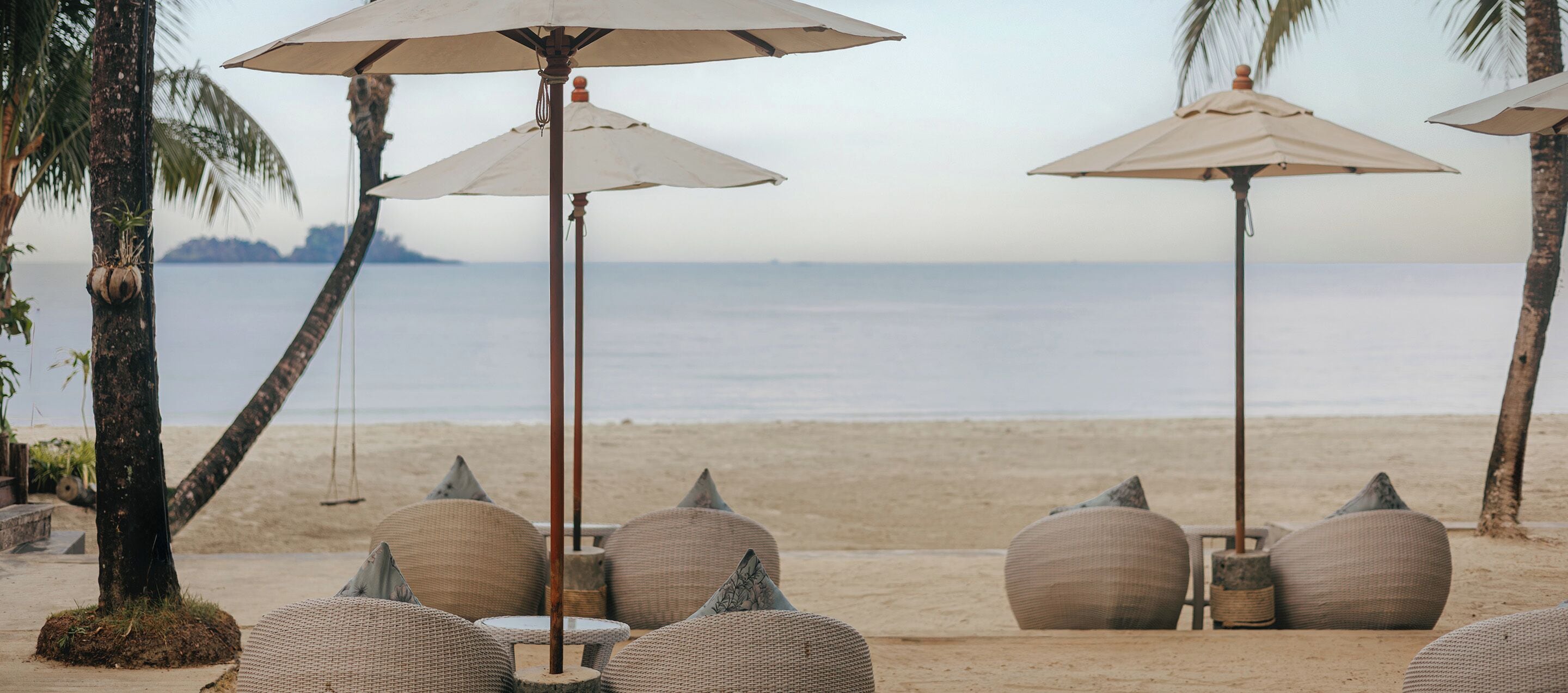 Strandstoelen met parasols, een palmboom en uitzicht op zee.