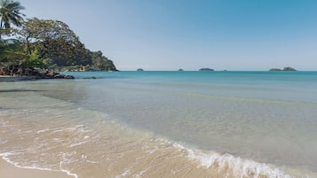 Une plage à l’eau turquoise et limpide, bordée d’un rivage sablonneux et de palmiers.