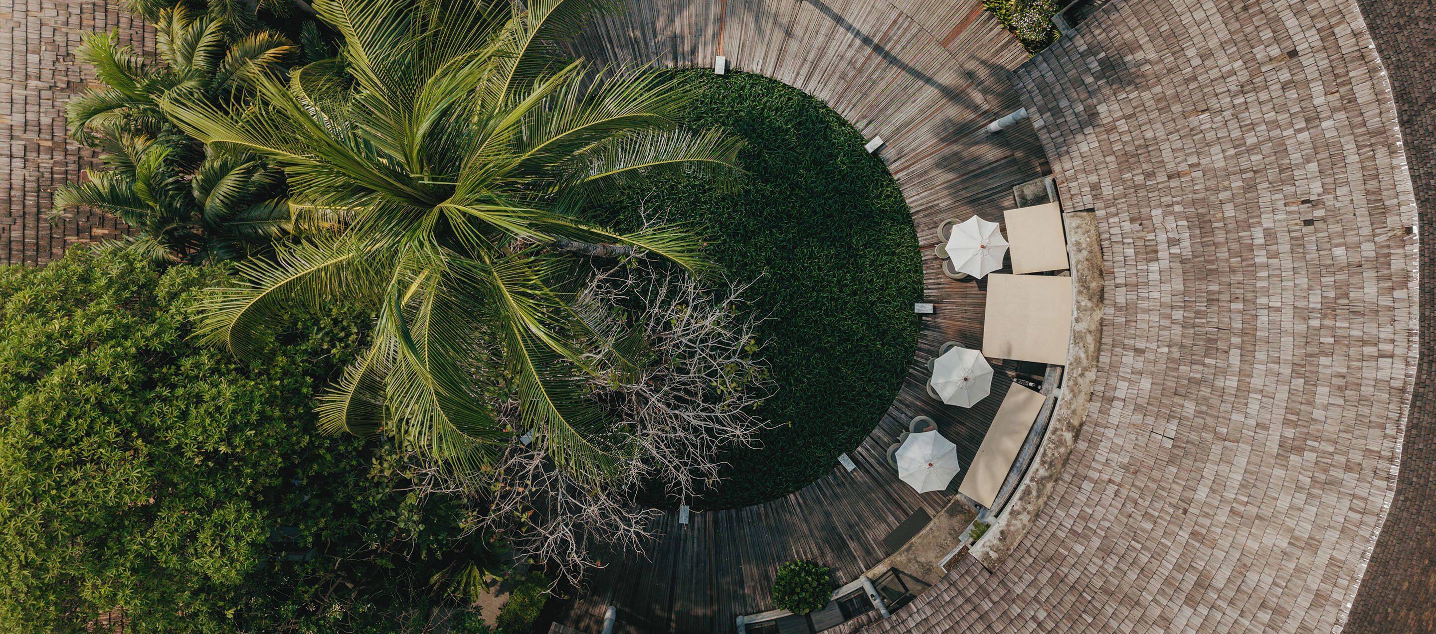An aerial view of a circular outdoor seating area with a palm tree and a brick wall.