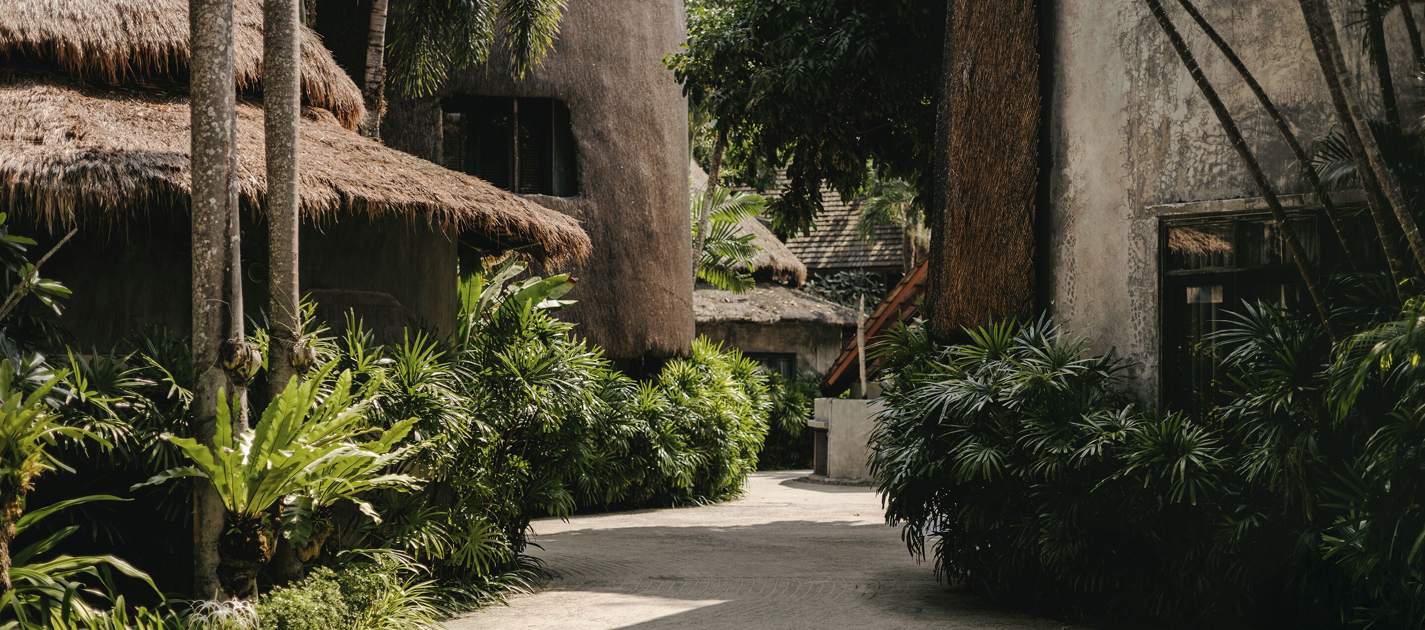 A pathway leading to a traditional thatched-roof structure surrounded by lush tropical vegetation.