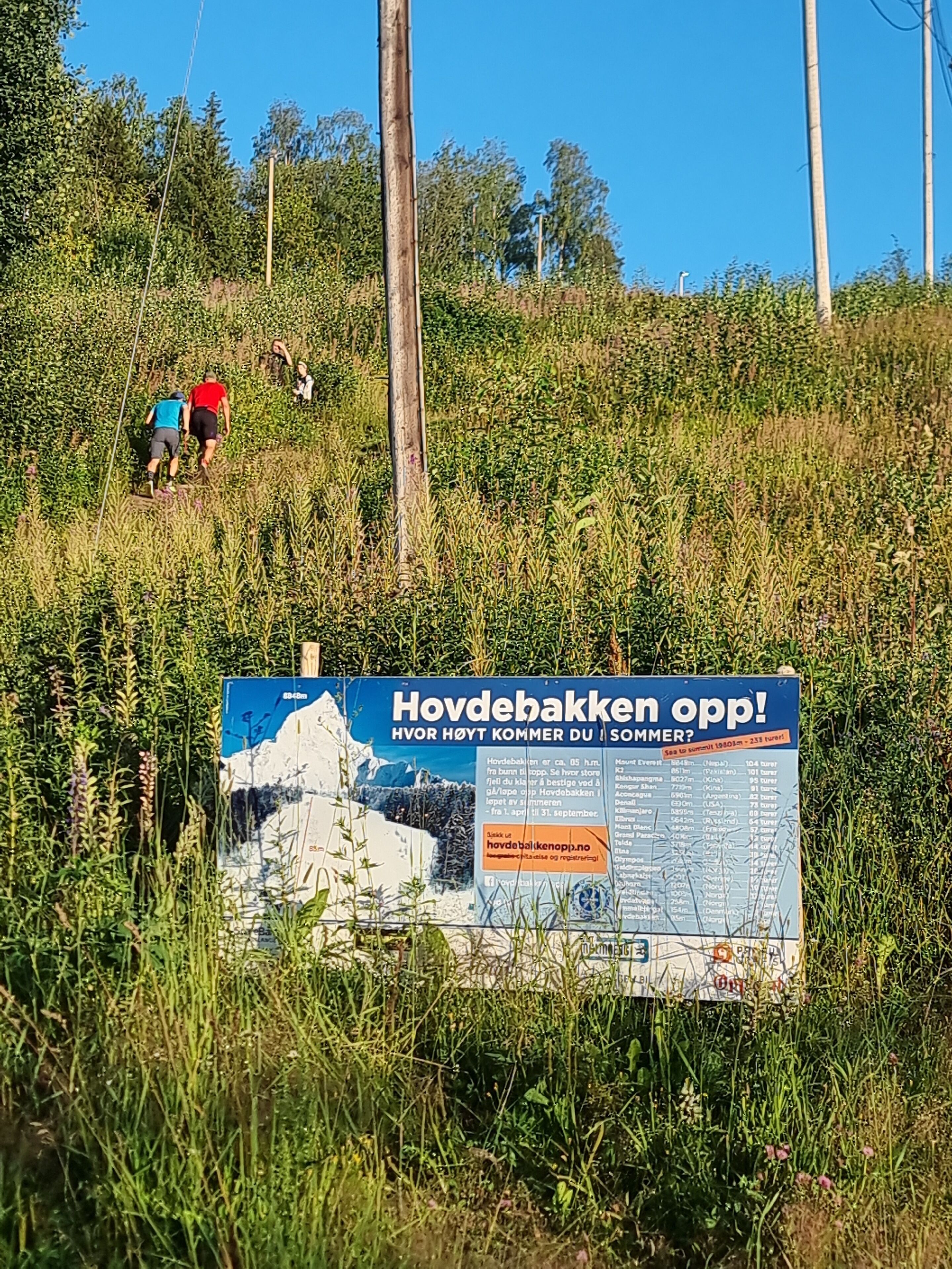 A sign in a grassy area with a mountain landscape illustration and text in a foreign language.