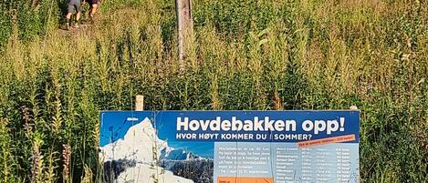 Un letrero en un área con césped, con una ilustración de paisaje montañoso y texto en idioma extranjero.