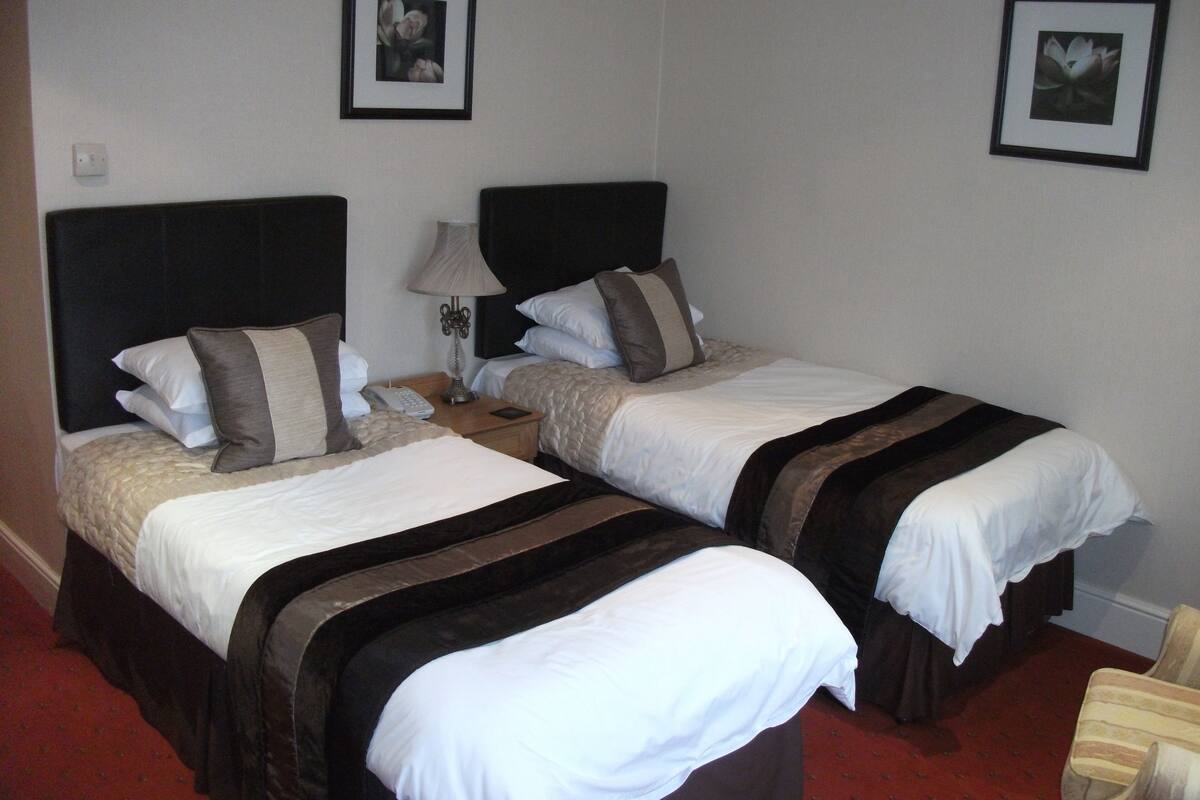 Two single beds with dark headboards, white bedding, and a red carpet.