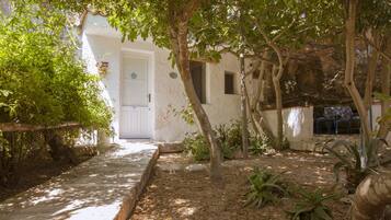 Enter a tranquil courtyard surrounded by lush greenery and traditional architecture.