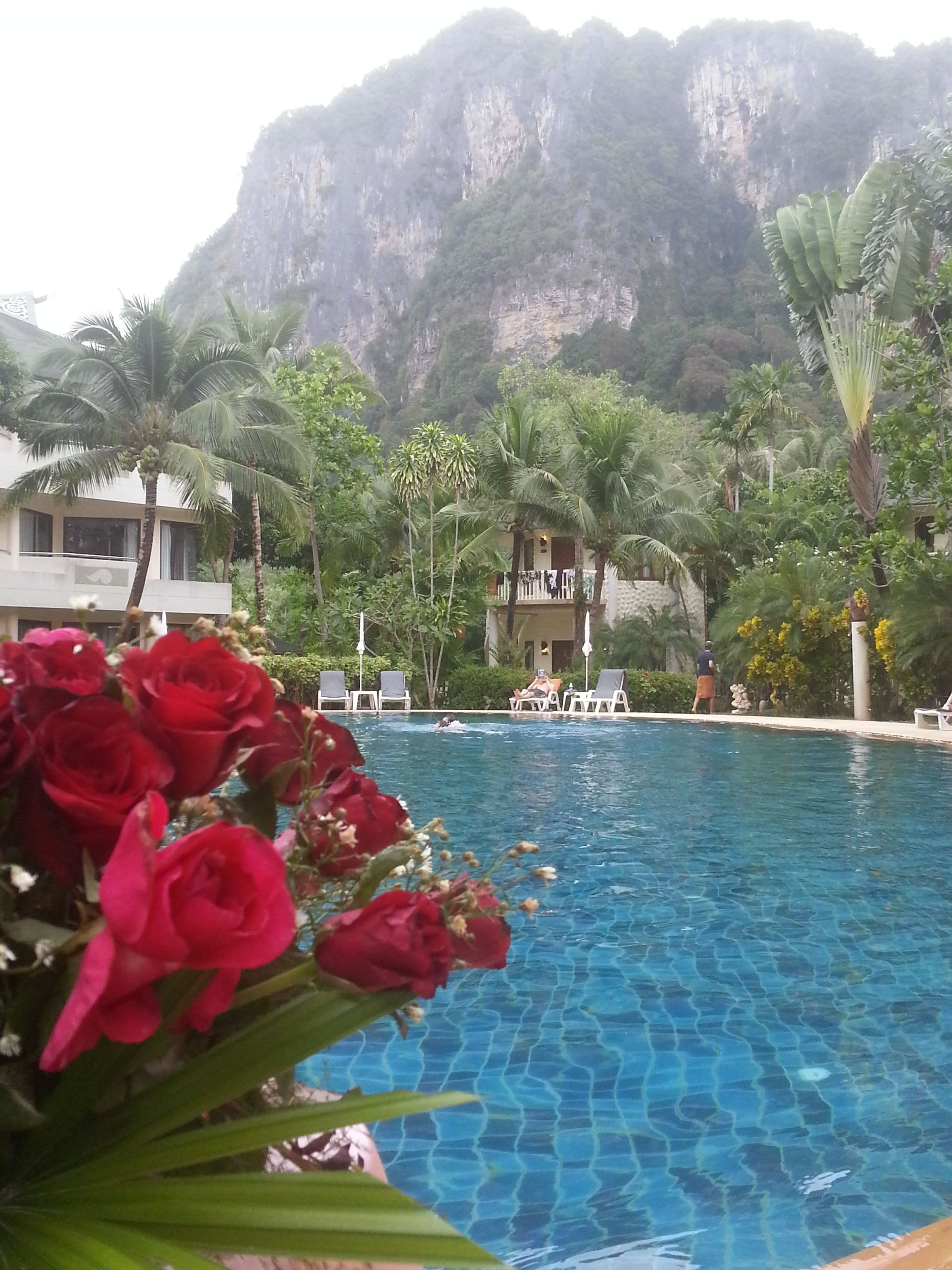 outdoor pool, pool umbrellas, pool loungers