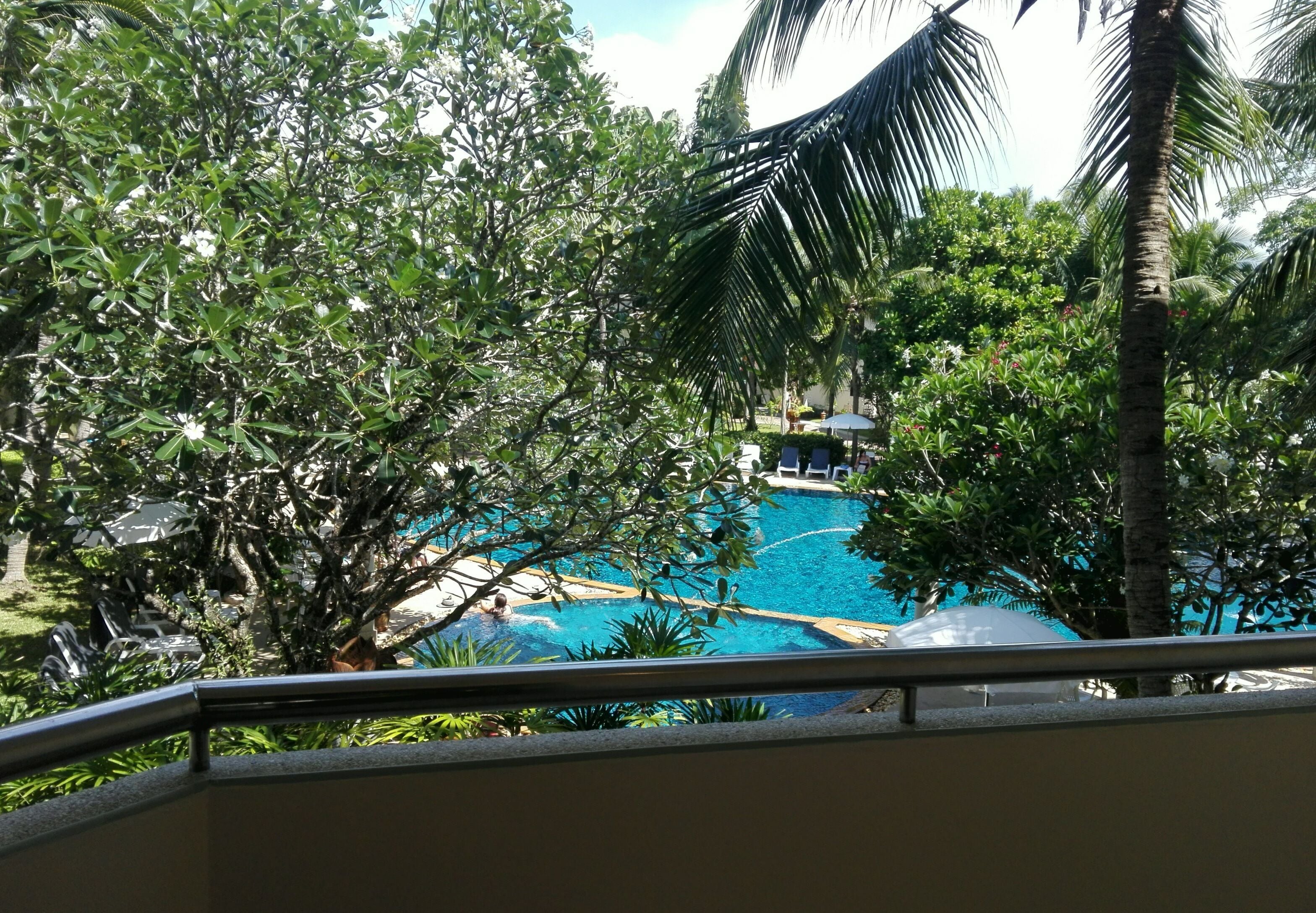 Vista de una piscina rodeada de exuberante vegetación y palmeras.