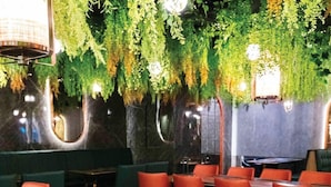 Un restaurante con una mesa de vidrio que exhibe diferentes platos, sillas rojas y una planta colgante verde al fondo.