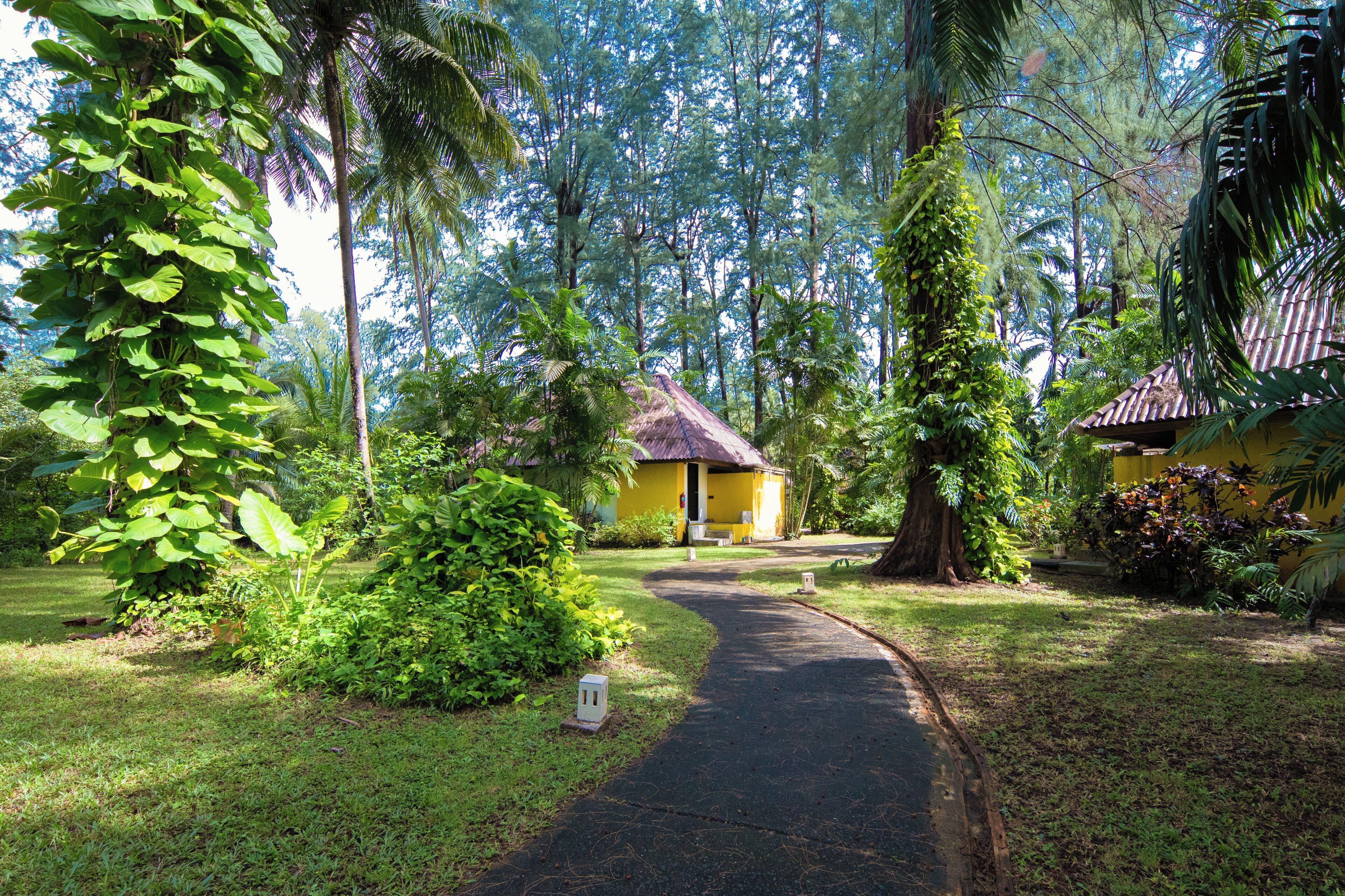 villa | minibar, in-room safe, desk, rollaway beds