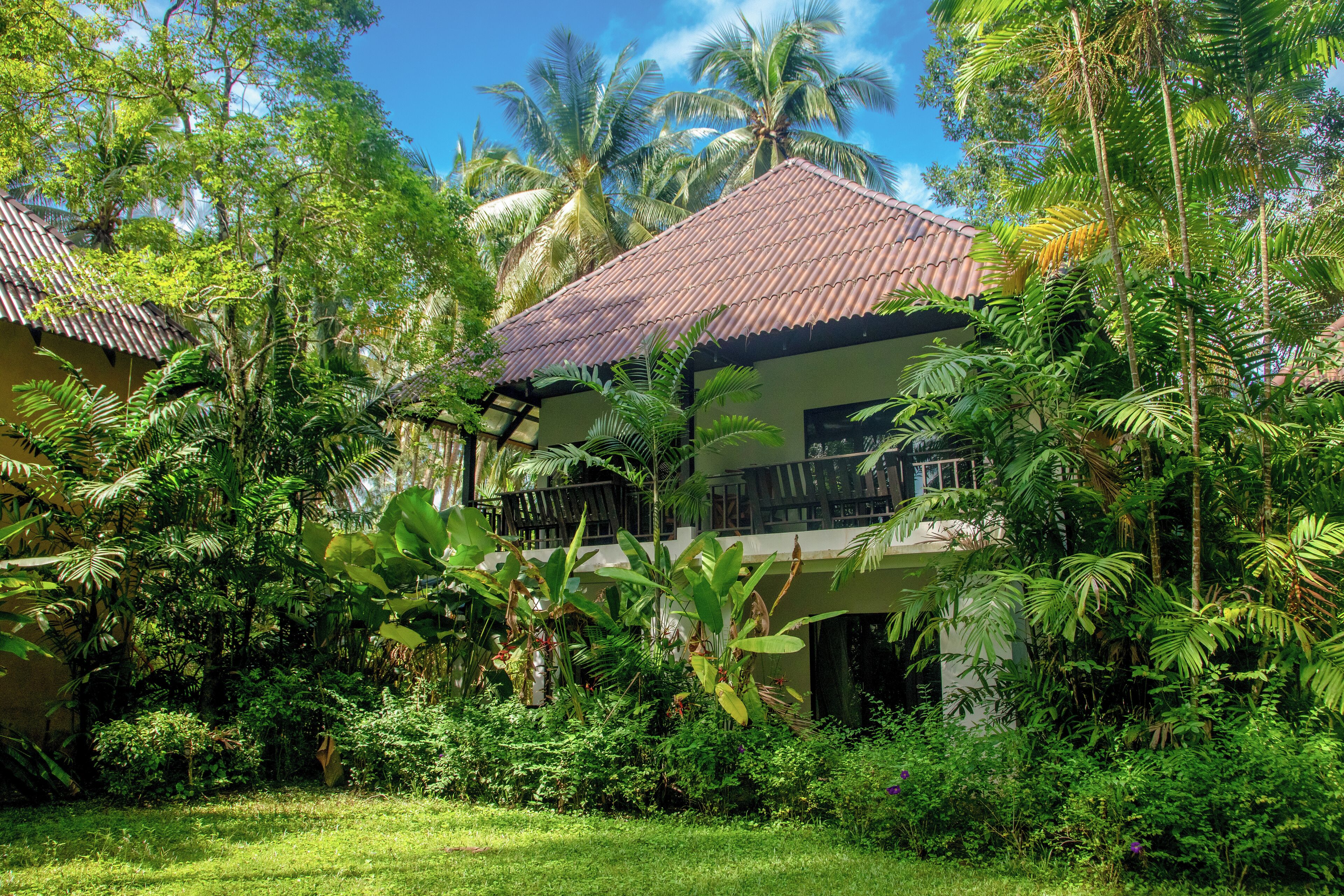 standard room | garden view