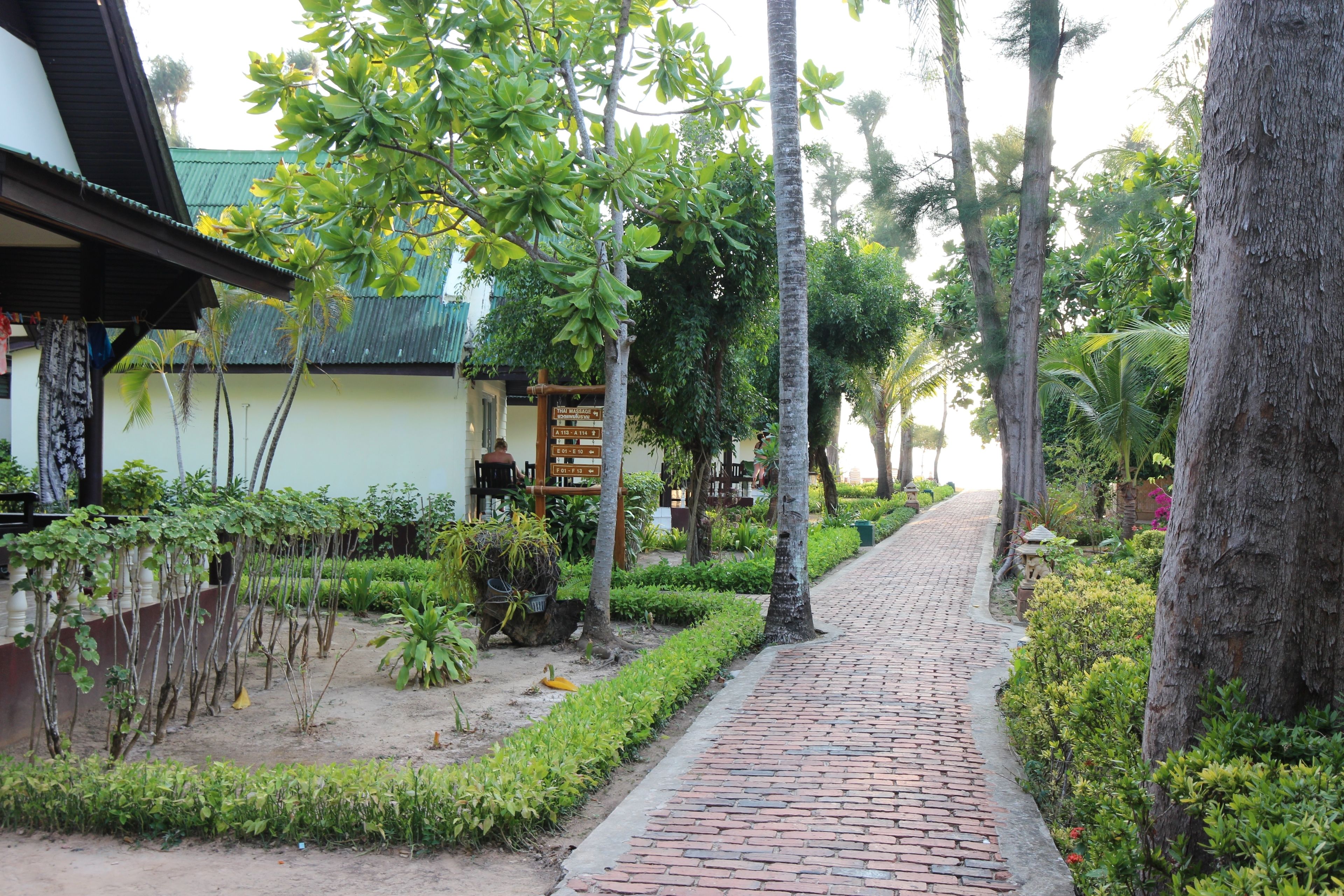 A paved pathway lined with trees and greenery, leading to a building with a green roof.
