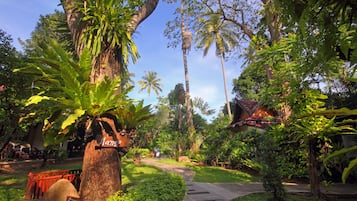 Blick auf den Garten