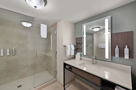 Suite, 1 King Bed | Bathroom shower. Hilton Garden Inn Omaha East/Council Bluffs