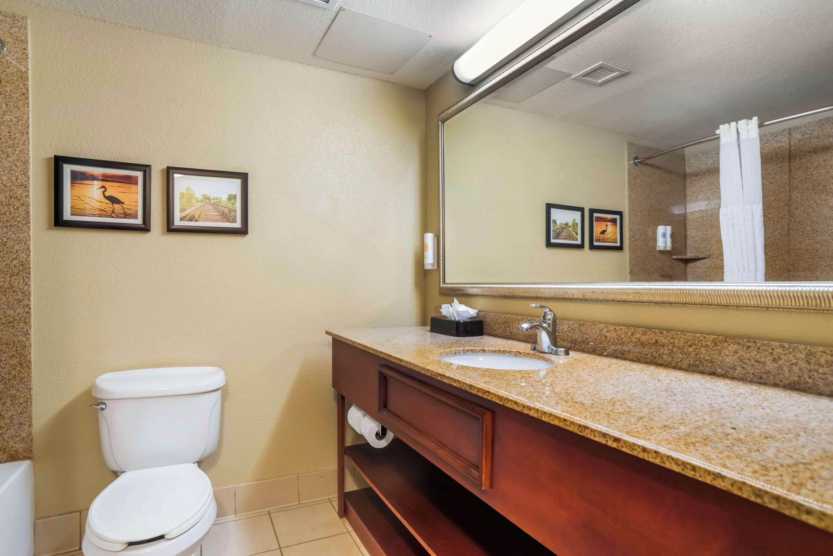 Foto - Comfort Inn & Suites Daphne Spanish Fort - Mobile East
