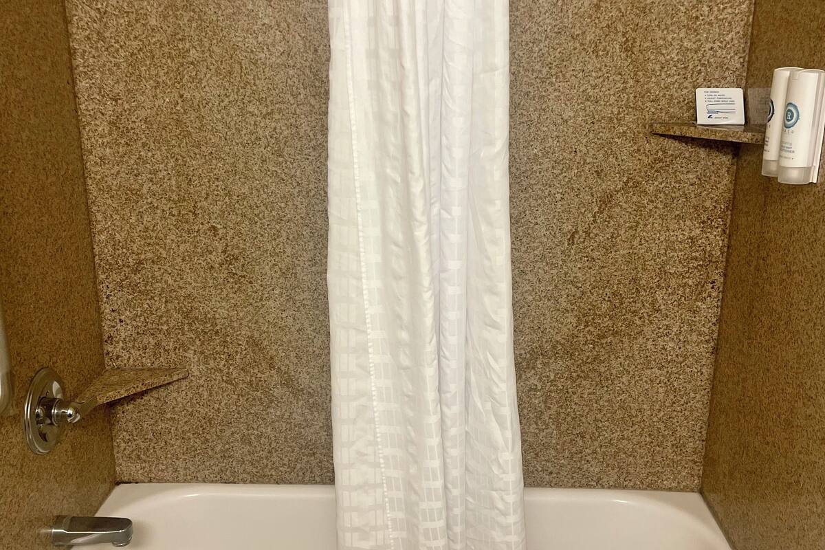 combined shower/bathtub, free toiletries, hair dryer, towels