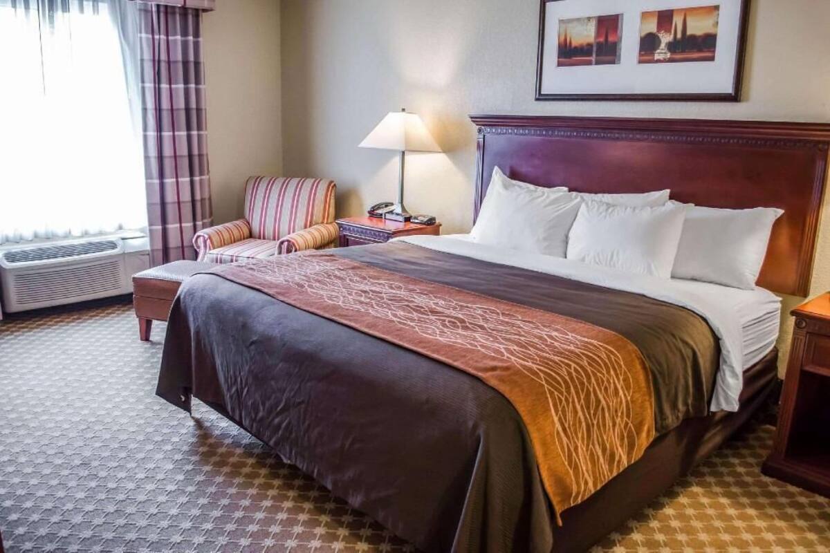 A hotel room with a large bed, a chair, a bedside table with a lamp, and a framed picture on the wall.