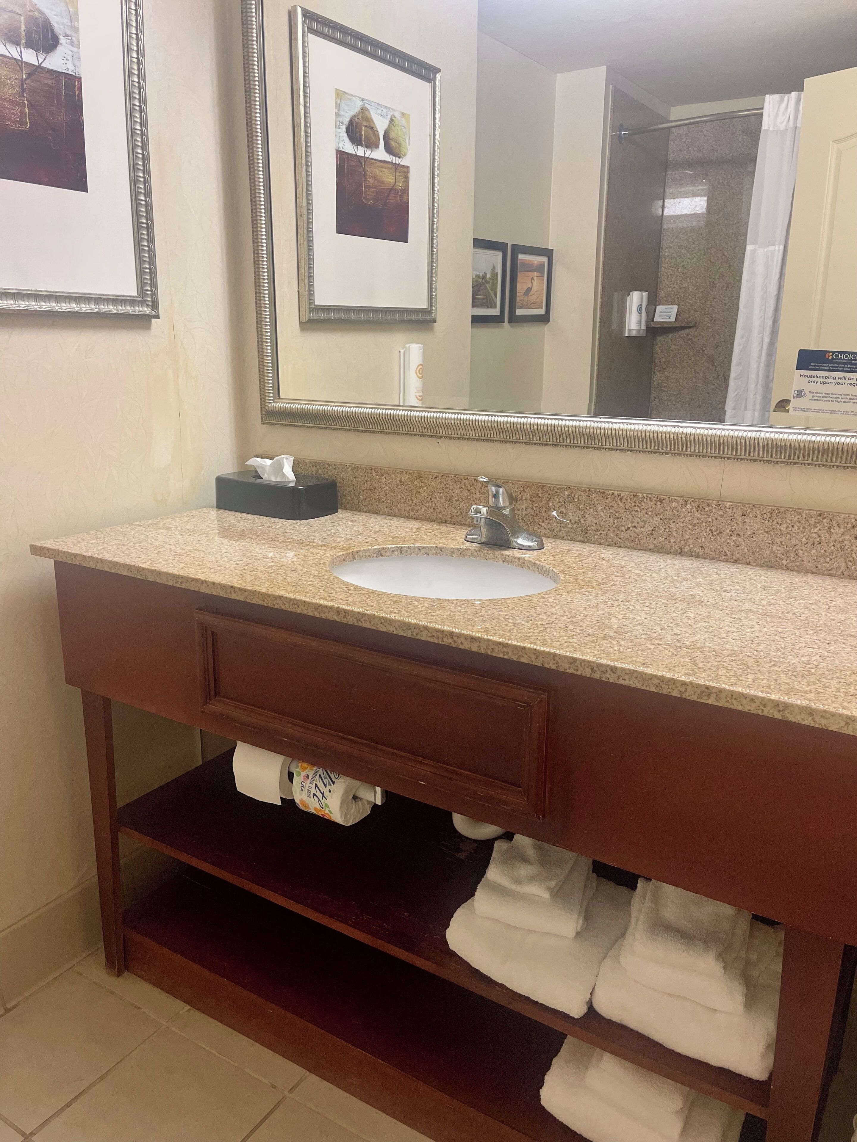 combined shower/bathtub, free toiletries, hair dryer, towels