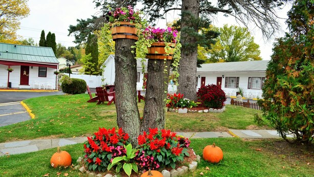 A small, single-story building with a green roof and a white exterior. There are two large trees in front of the building, each with a flower pot on top. The surrounding area has grass, a few pumpkins, and a small garden with red flowers. - Williamstown Motel (Williamstown)