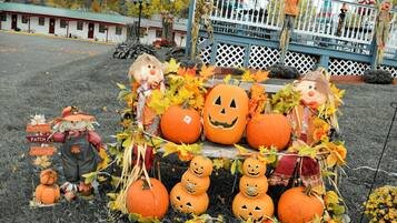 A Halloween display with pumpkins and scarecrows.