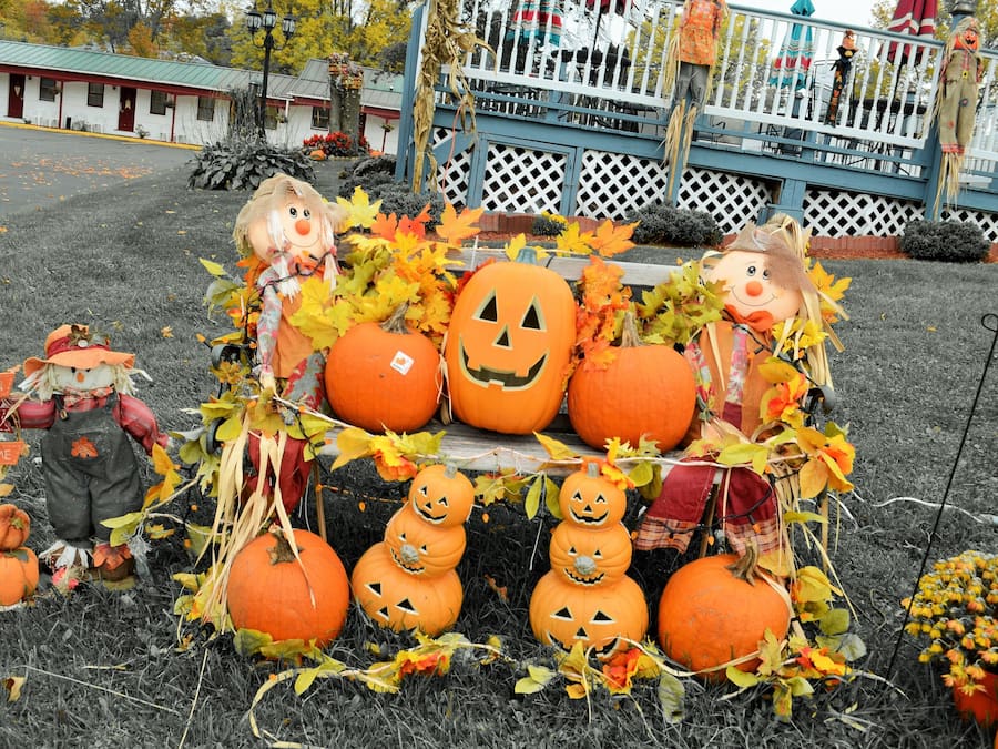 A Halloween display with pumpkins and scarecrows.