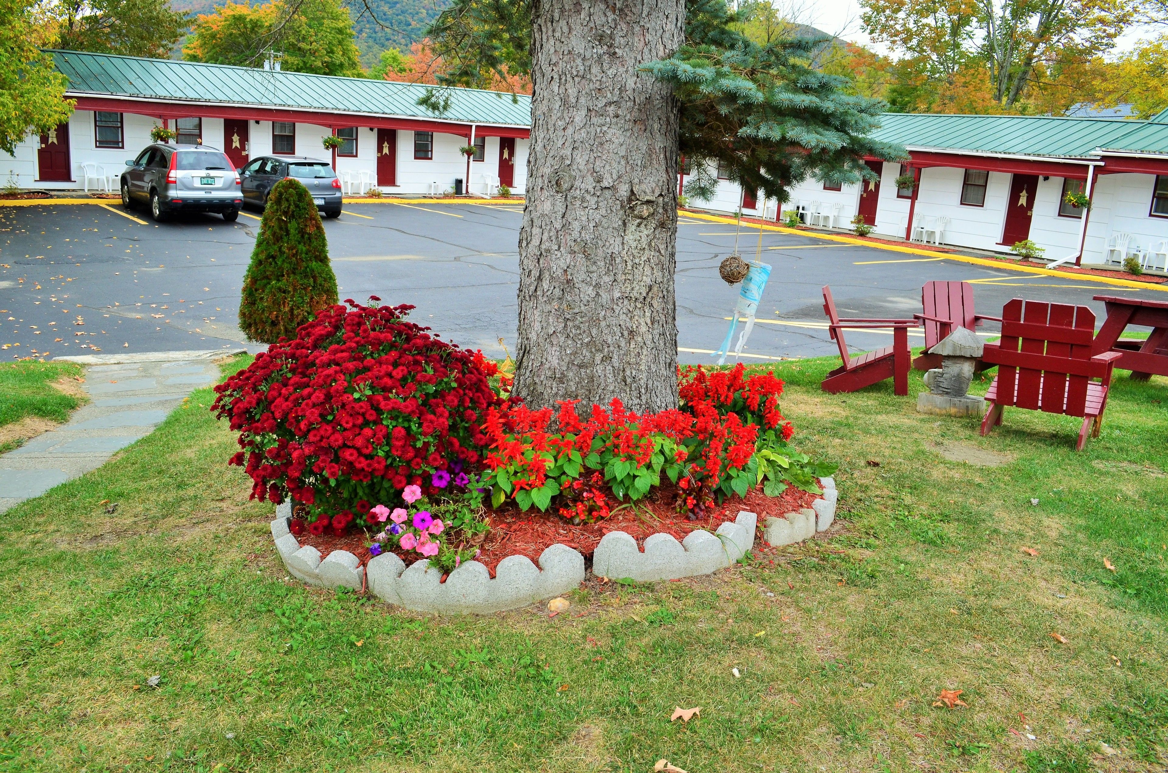Motel amb teulada verda, aparcament i bosc amb flors vermelles.