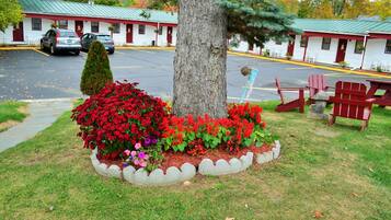 Motel amb teulada verda, aparcament i bosc amb flors vermelles.