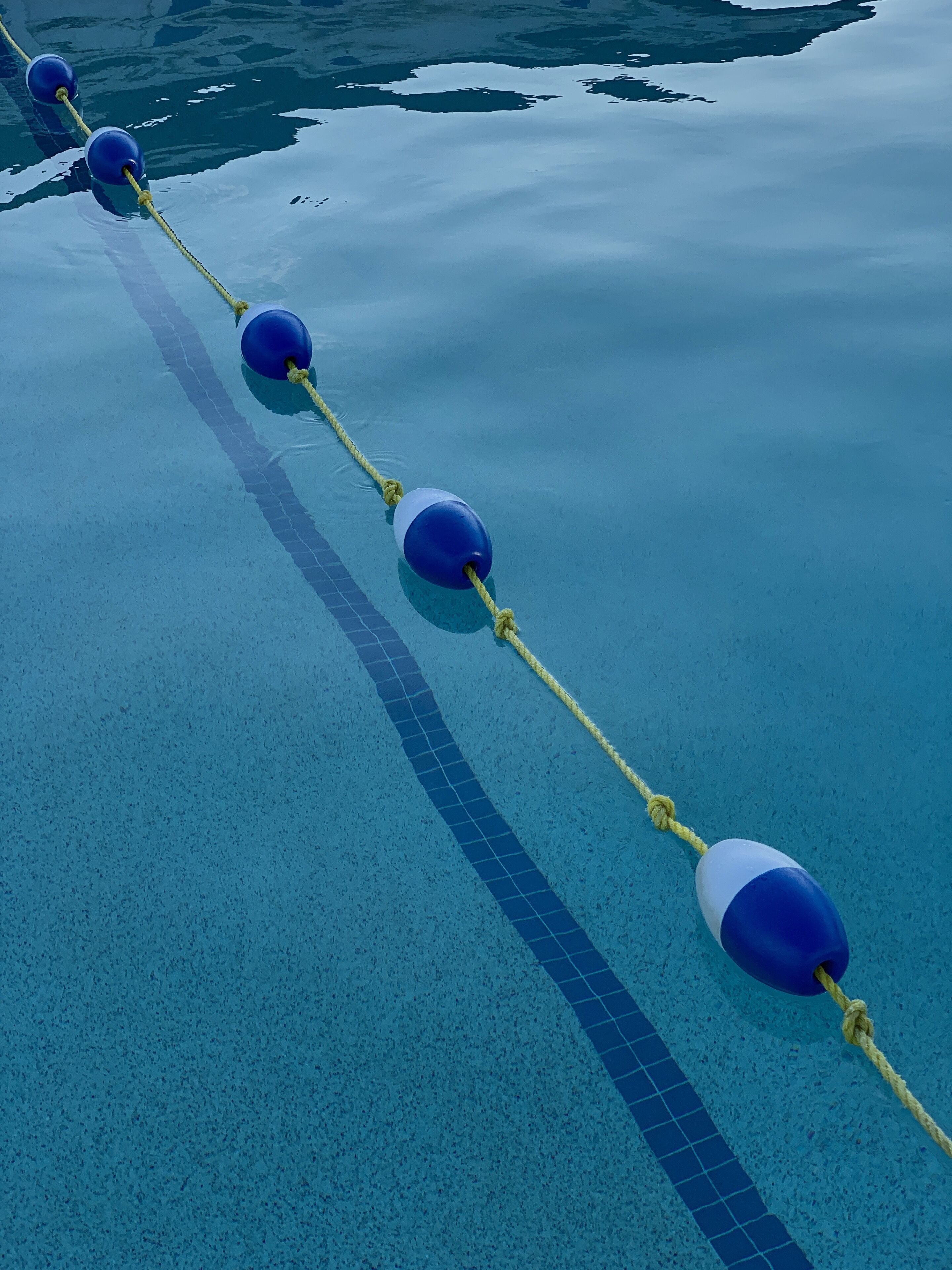 Une piscine avec des bouées flottantes et une barrière de corde.
