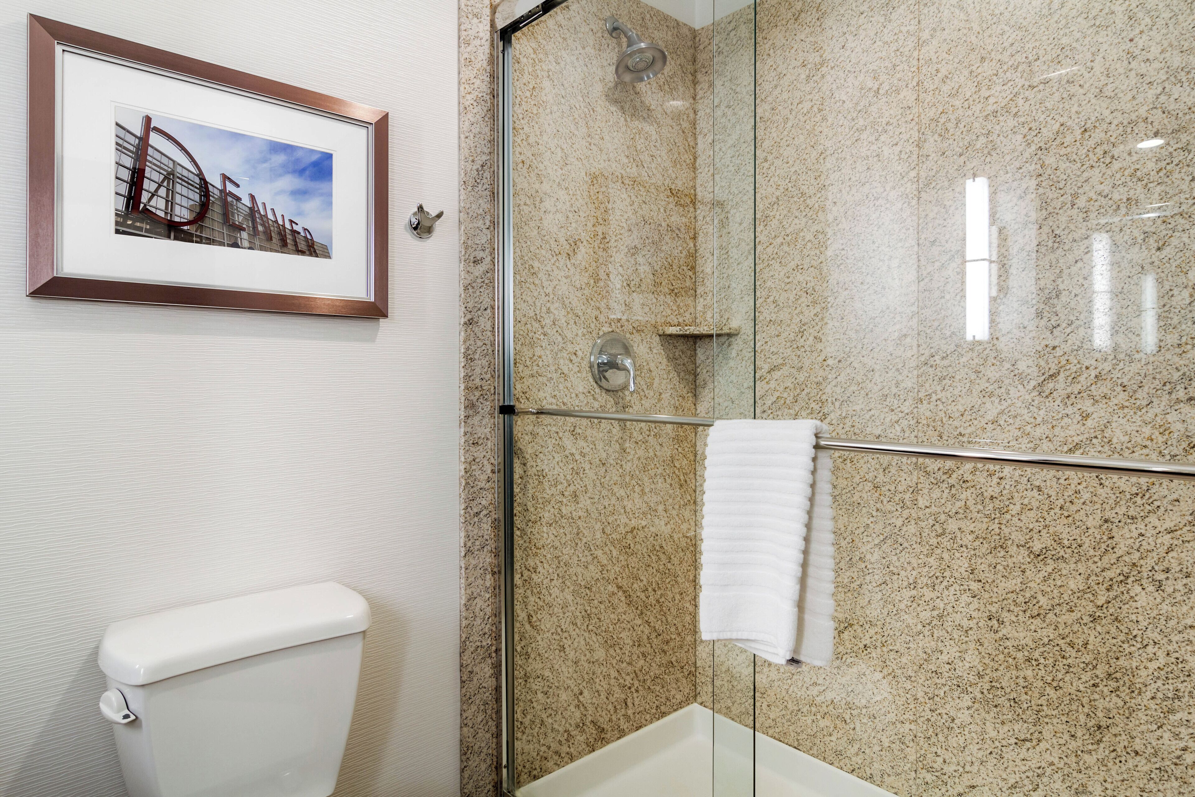 A bathroom with a framed picture of a building, a toilet, a glass shower enclosure, and a towel rack.