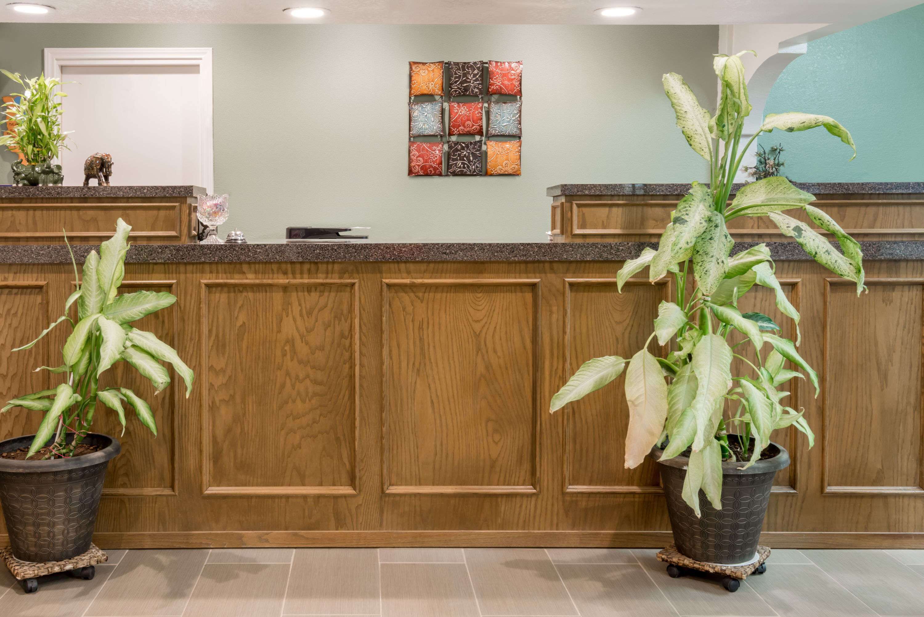 A reception area with a wooden panel design, potted plants, and a decorative wall piece.