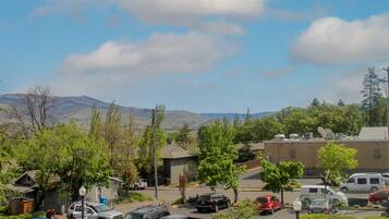 Vista desde la habitación