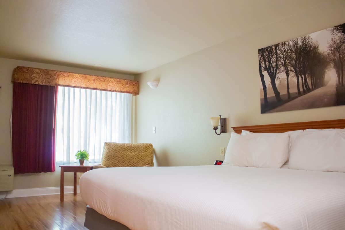 Quarto de hotel com uma cama grande, uma mesinha com uma planta, uma cadeira e um quadro na parede.