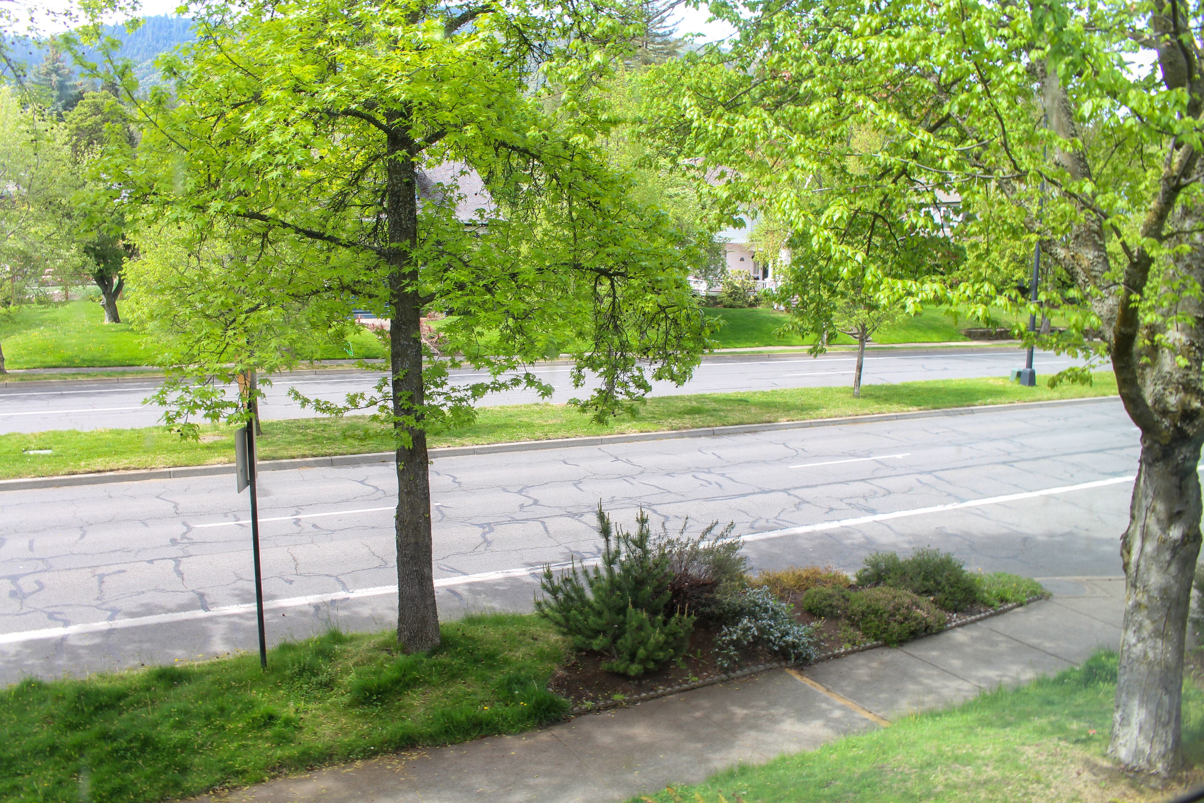 two queen room, treeside | view from room