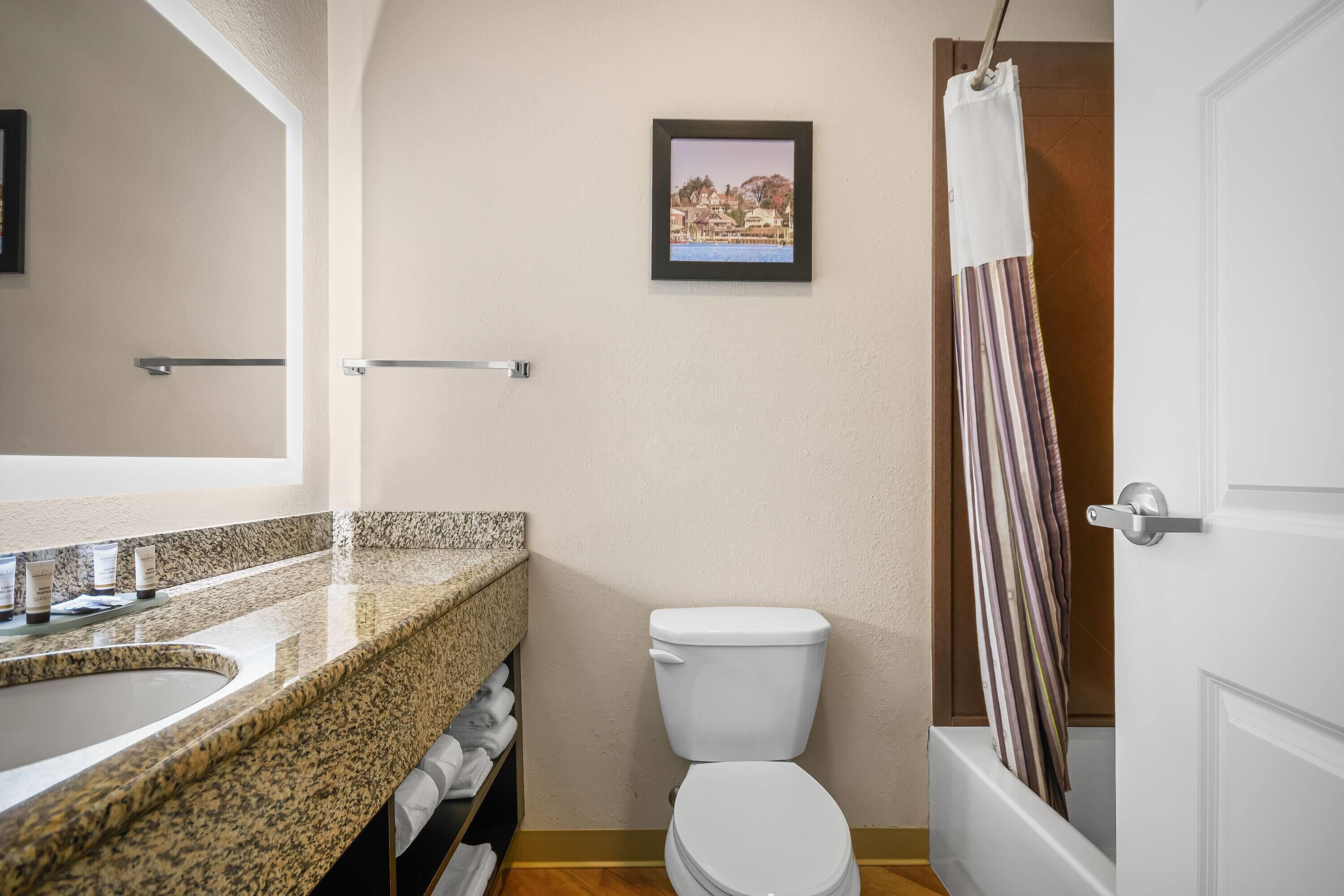 A bathroom with a granite countertop sink, a toilet, and a shower curtain.