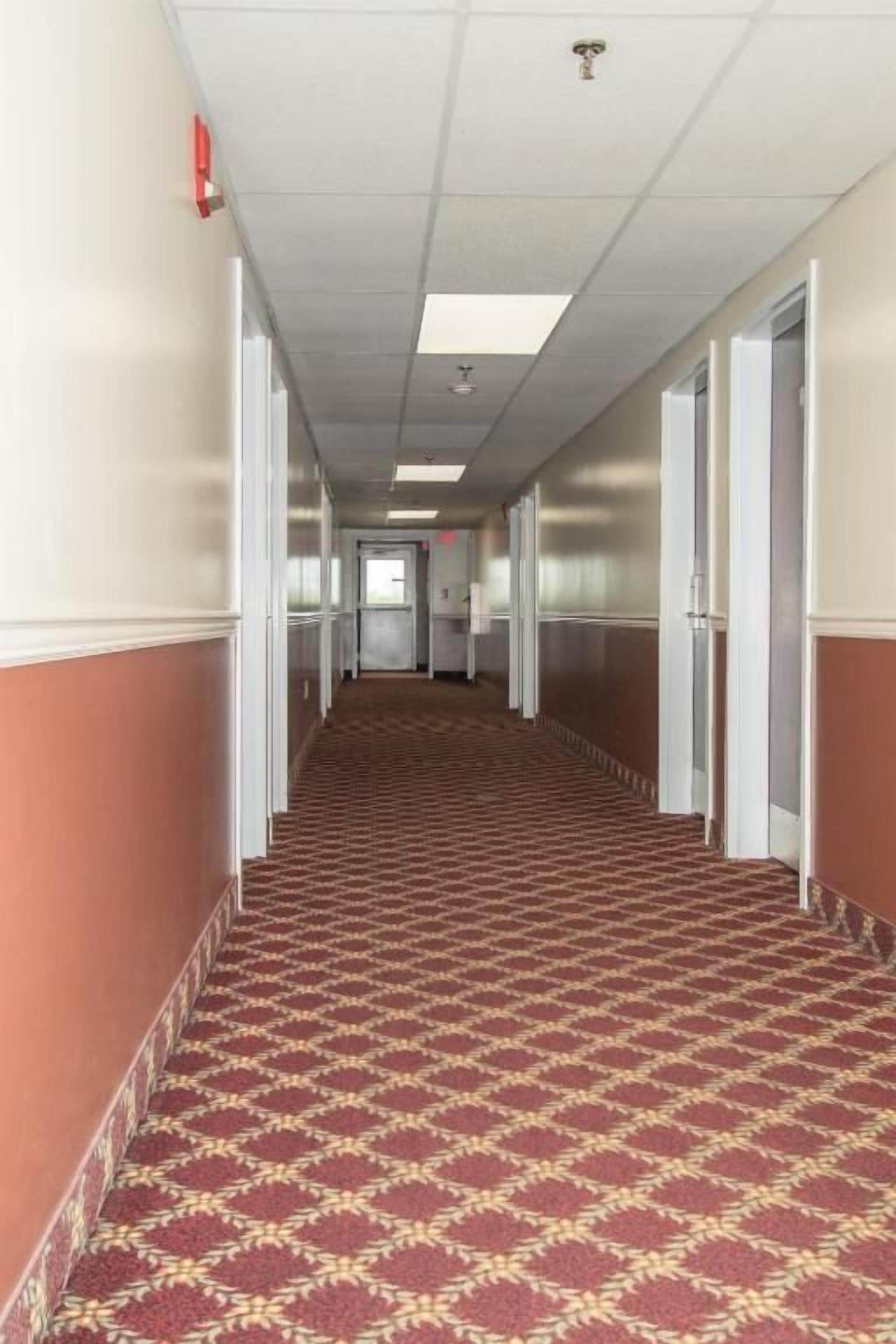 A hotel corridor with patterned carpet, white walls, and doors leading to rooms.