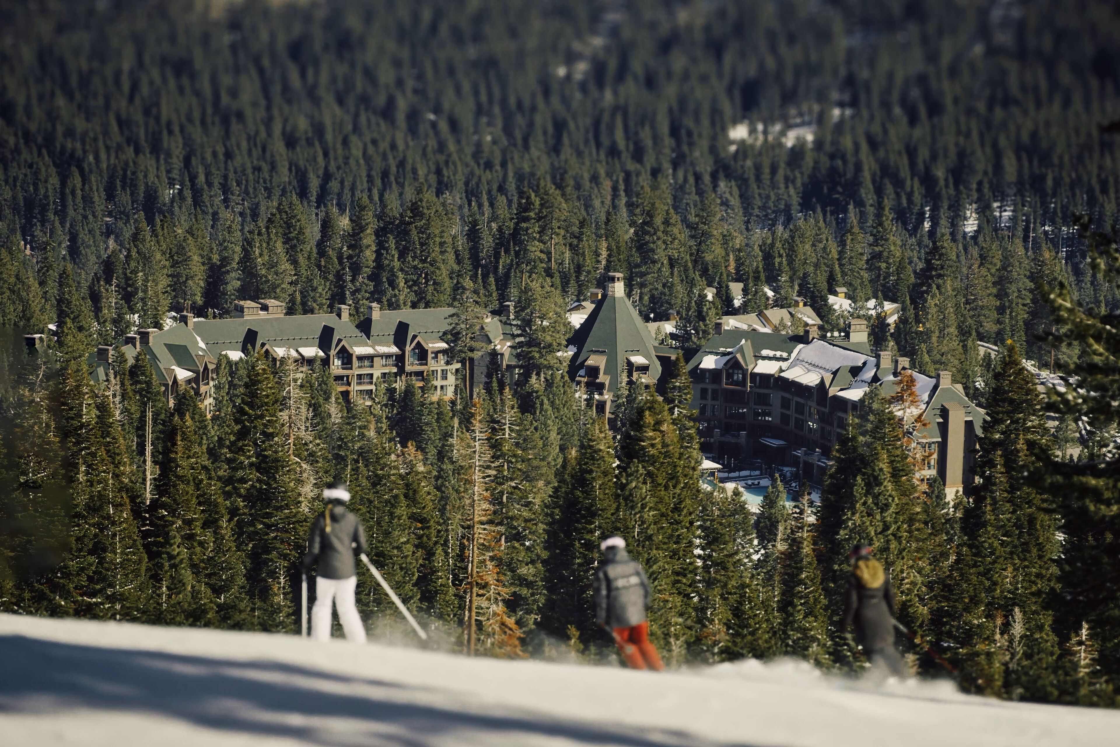 A ski resort with multiple buildings surrounded by dense forest.