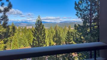 A view from a window overlooking a forested area with mountains in the distance.