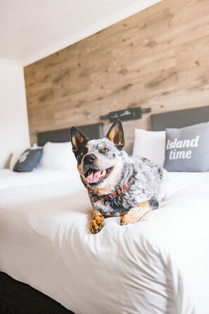 Superior kamer, 1 kingsize bed | Donsdekens, Select Comfort-bedden, een bureau, een laptopwerkplek