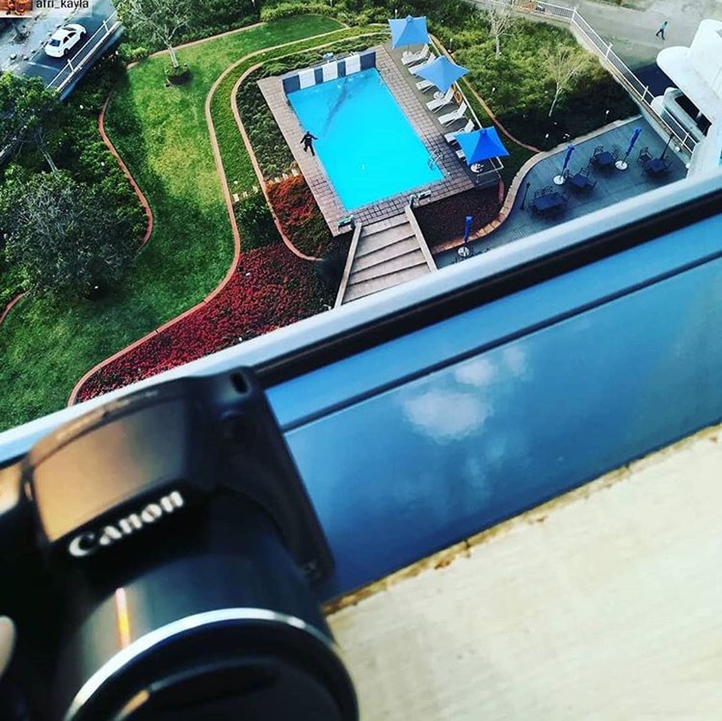 A view of a swimming pool with lounge chairs and umbrellas, surrounded by greenery.