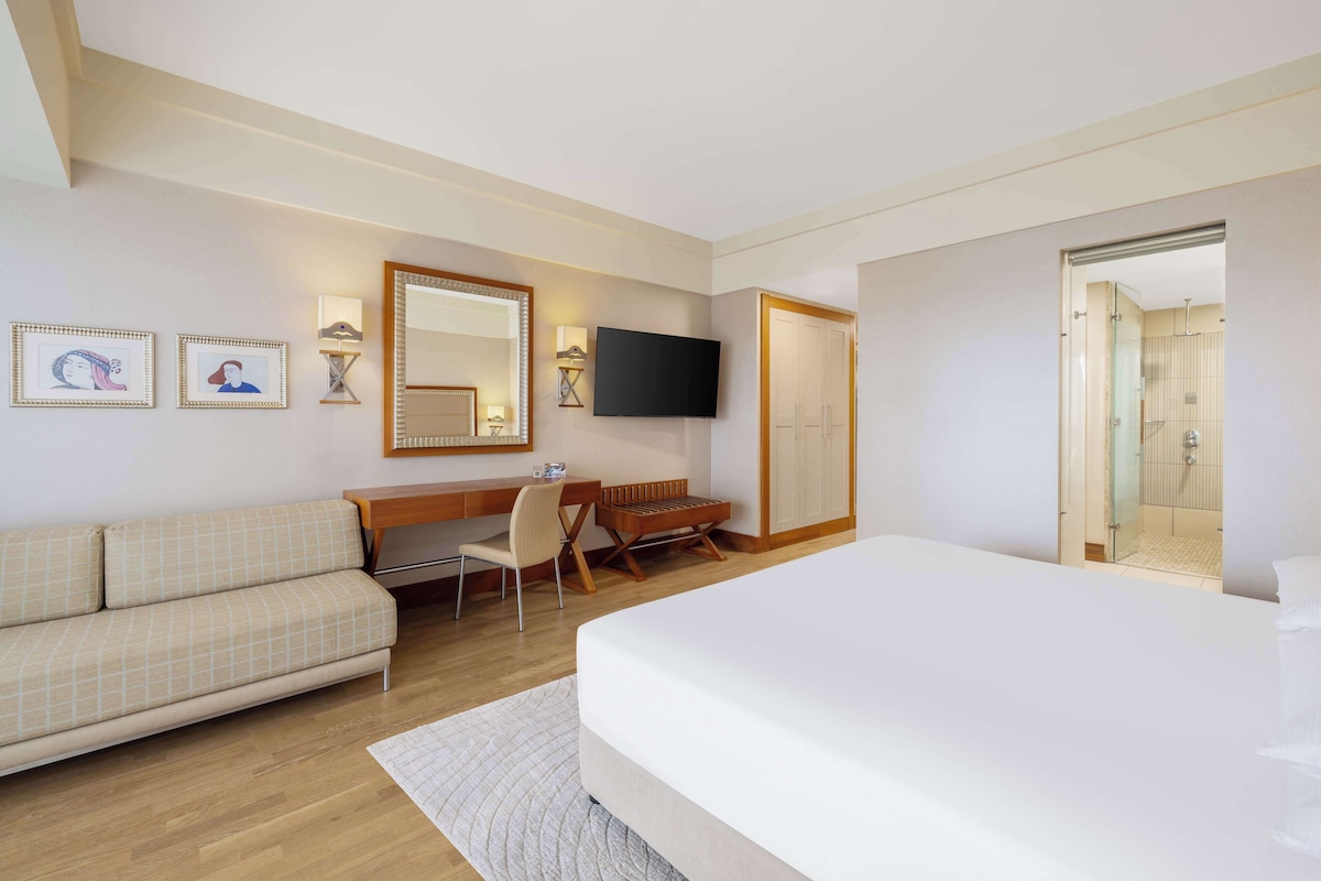 Minibar (free items), in-room safe, desk, laptop workspace