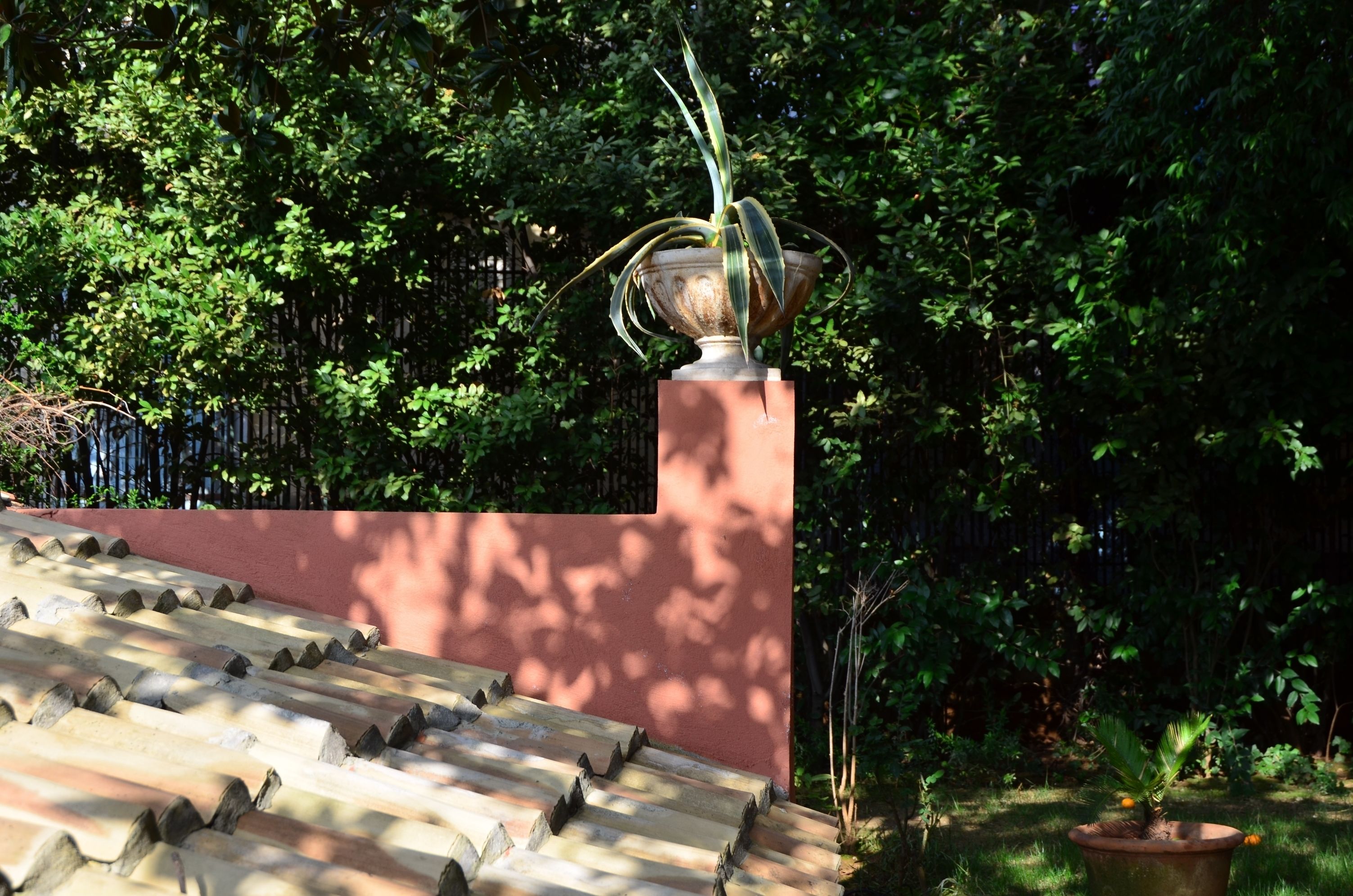 Photo - Siora Vittoria Boutique Hotel