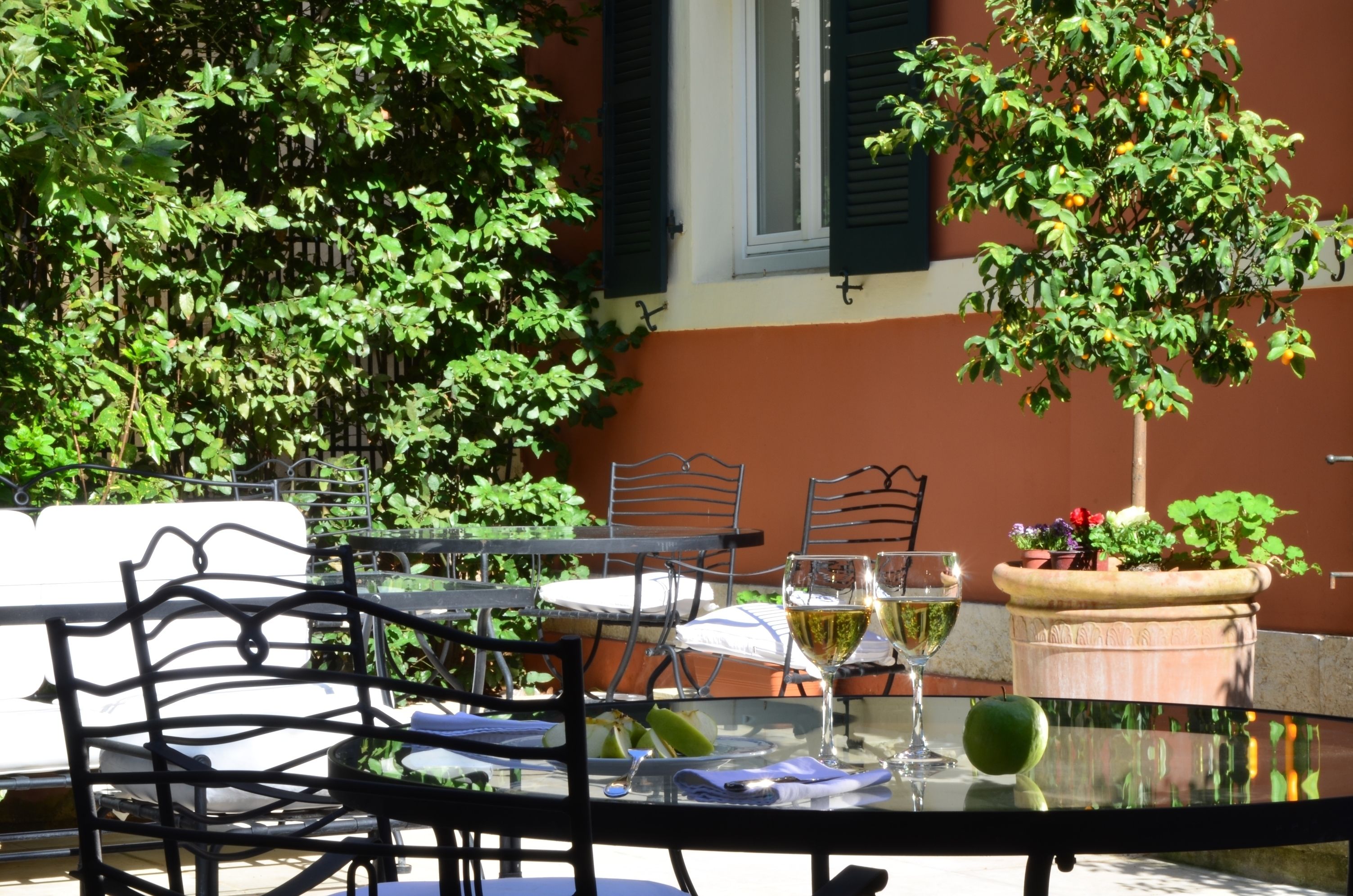 Un área de comedor al aire libre con una mesa, sillas y una planta en maceta.