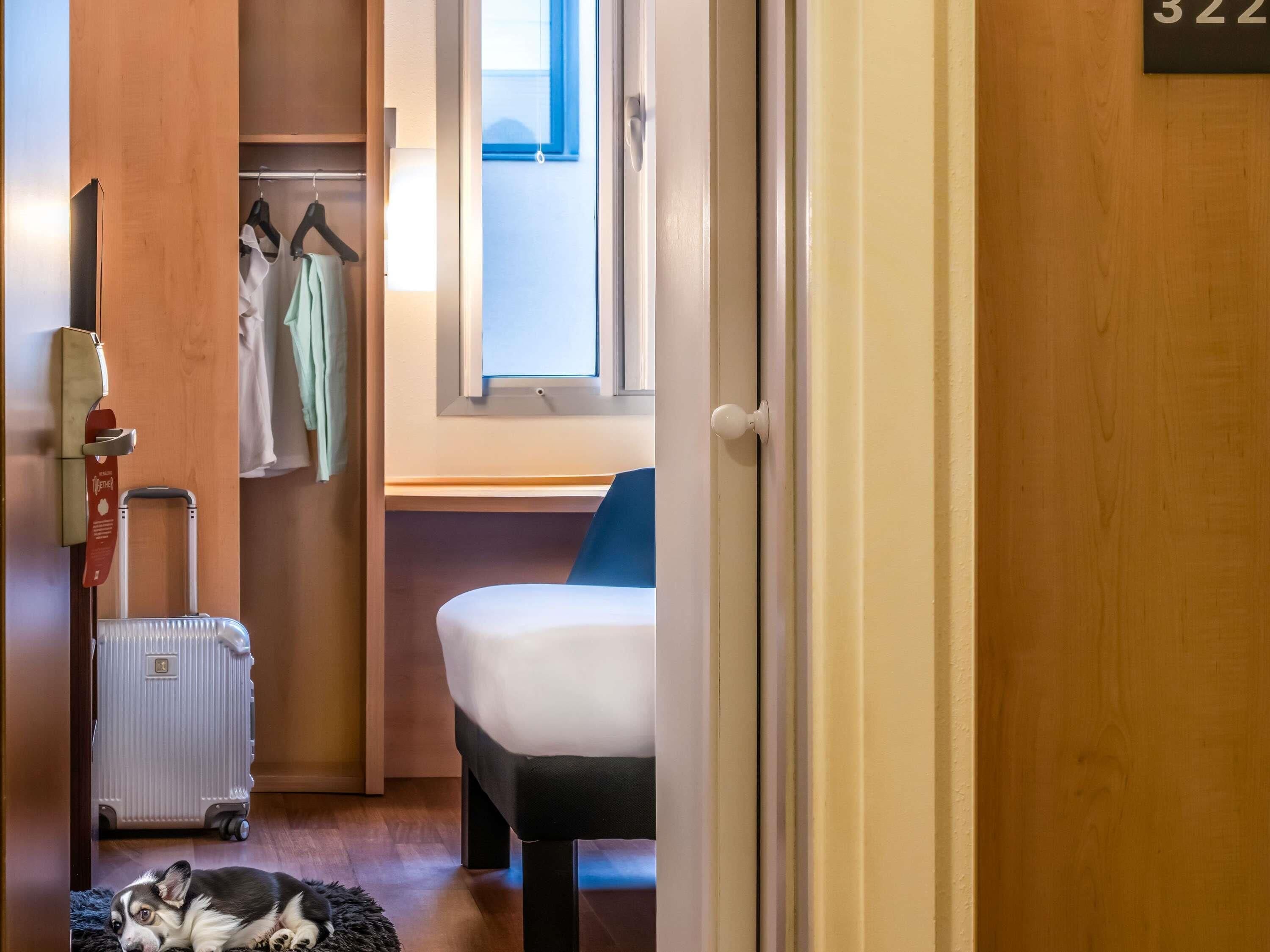 Habitació d'hotel amb un llit, escriptori, radiador, maleta i un gos.